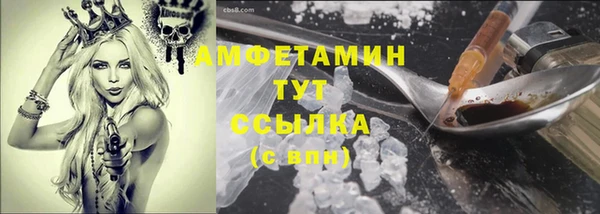 гидропоника Бородино