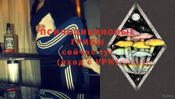СК Бронницы