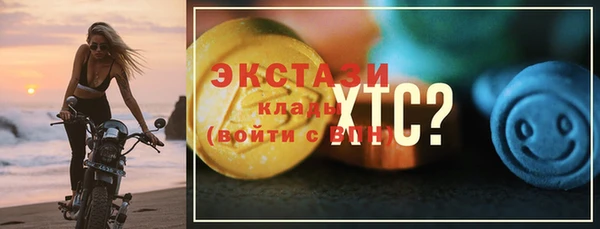 СК Бронницы