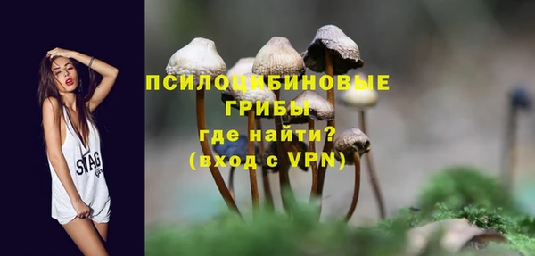 СК Бронницы
