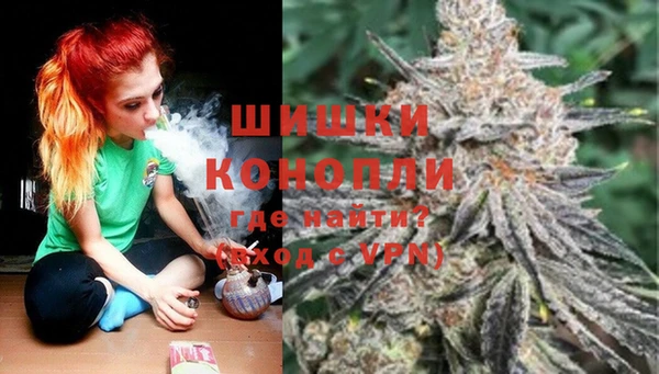 гидропоника Бородино