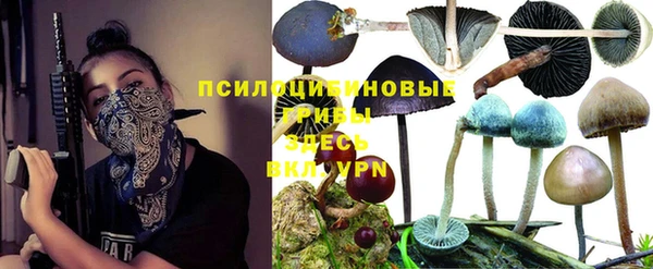 гидропоника Бородино