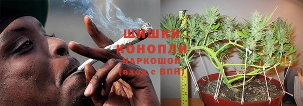 гидропоника Бородино