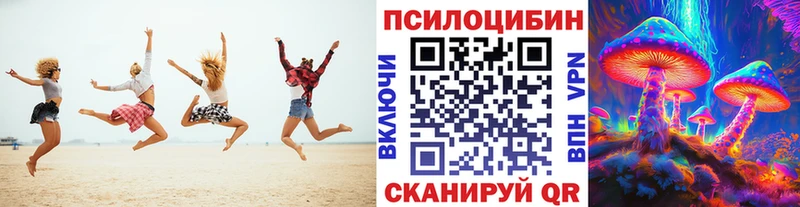 Купить  Кувшиново  Галлюциногенные грибы прущие грибы 